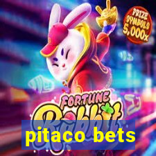 pitaco bets